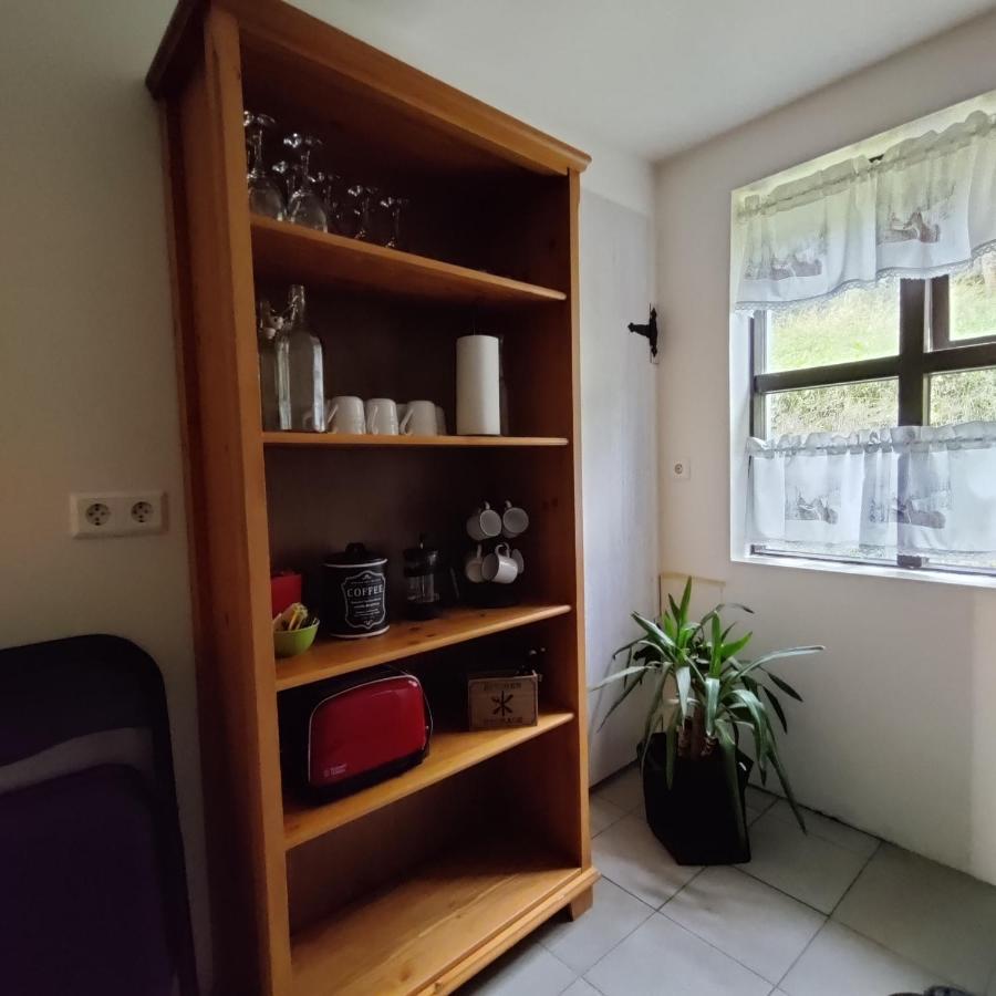 Prestshus 2 Guesthouse Vik i Myrdal Luaran gambar
