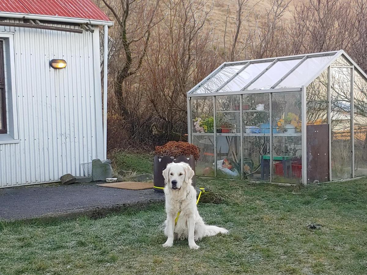 Prestshus 2 Guesthouse Vik i Myrdal Luaran gambar