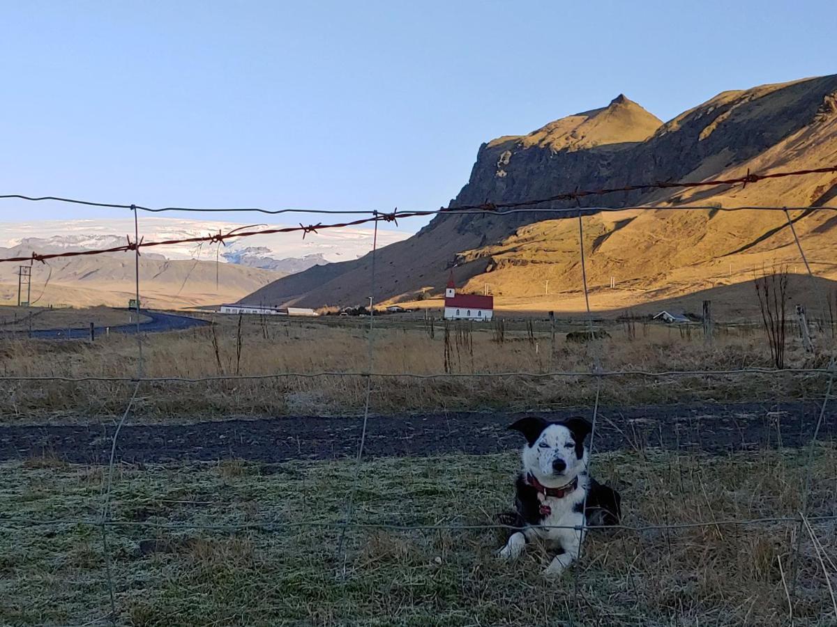 Prestshus 2 Guesthouse Vik i Myrdal Luaran gambar