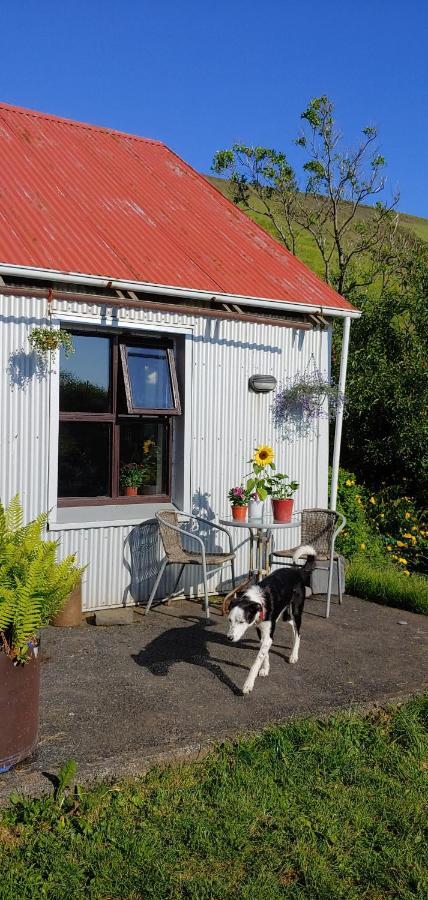 Prestshus 2 Guesthouse Vik i Myrdal Luaran gambar