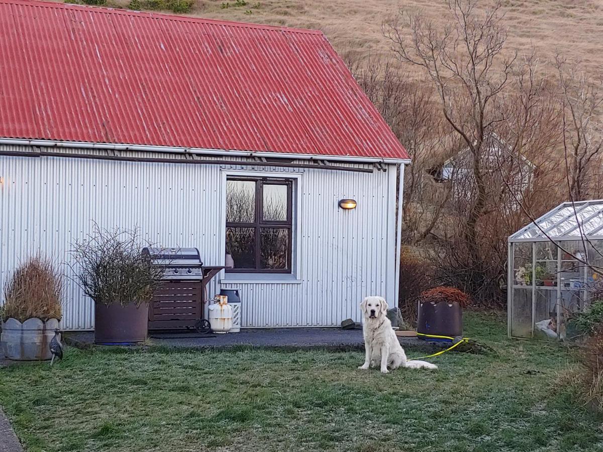 Prestshus 2 Guesthouse Vik i Myrdal Luaran gambar